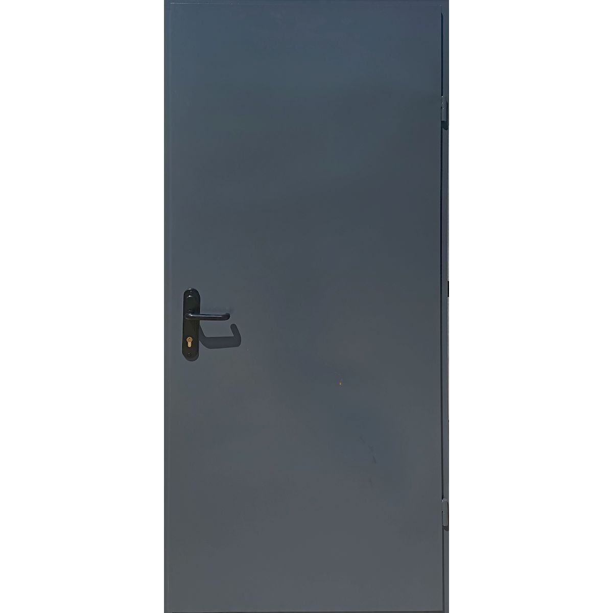 Вхідні технічні двері 2 листа металу сірі